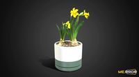 [Game-Ready] Daffodil Pot
