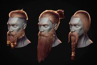 Hair and Beard Pack