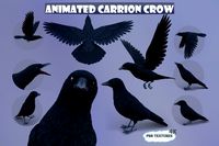 Realistic Animated Carrion Crow