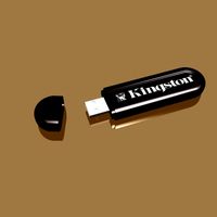 Kingston usb 3D Model