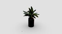 Houseplant - Photogrammetry