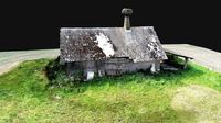 Abandoned nests