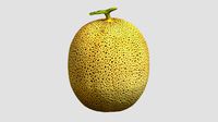 Melon 01 Low Poly PBR Realistic