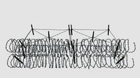 Barb Wire Obstacle 23