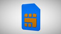 SIM card