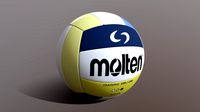 Volleyball