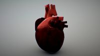 Heart - Sketchfab Weekly