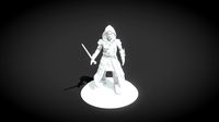 assassin