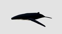 Low Poly Cartoon Humpback Whale