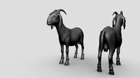 Goat  - Topology + UV Map