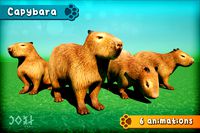 Capybara - Animated - Lowpoly