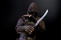 Thief for Starter Pack