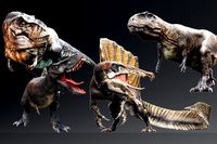 Dinosaur A Classes Dinosaur Bundle