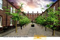 Gen05SmallEuropeanTrees01