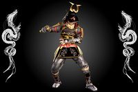 Samurai Warrior