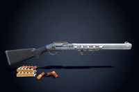 Shotgun 1