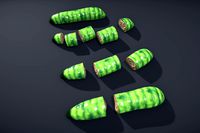 Worm's 3D(with Breakable body)