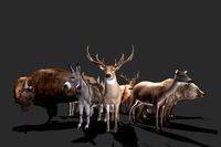 Realistic Animals BIG PACK
