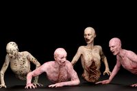 Zombie Crawler Pack3