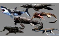 Dinosaur Sea Monster Bundle