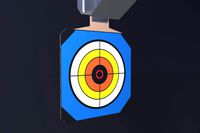 Shooting Target