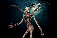 Nightmare Monster 3