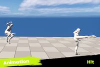 Hit Animation