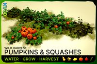 Wild Harvest: Pumpkins &amp; Squashes