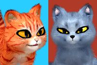 Cute Cat - British Shorthair