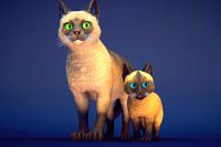 Milo the Cat