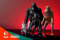 Monkeys - animals pack