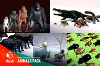 Animals pack - birds, reptiles and others