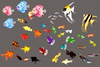 3D Stylized Freshwater Fish Aquarium Pack