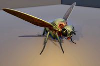 Mutant Fly