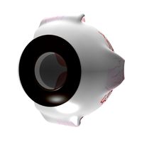 Eye 3D Model