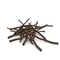 Twigs 1 3D Model