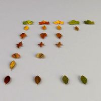 Dead Autumn Leaves 3D Model