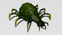 Spider 3D Model