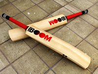 Cricket Bat 3D Model