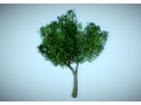 Low poly tree 3D Model