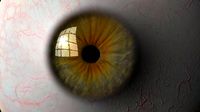 Eyeball 3D Model