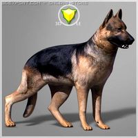 German Shepherd Textured 3D Model