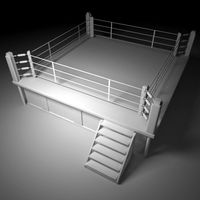 BoxingWrestling Ring 3D Model