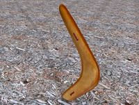 Boomerang 3D Model