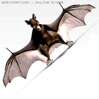Killer Bat 3D Model