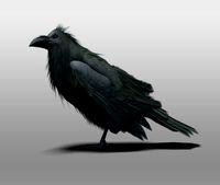 Raven 3D Model