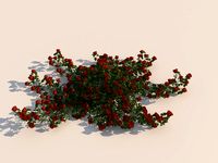 Flowers 3D Model