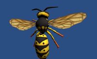 Hornet 3D Model