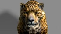 Jaguar 3D Model