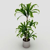 Interior plant 3D Model